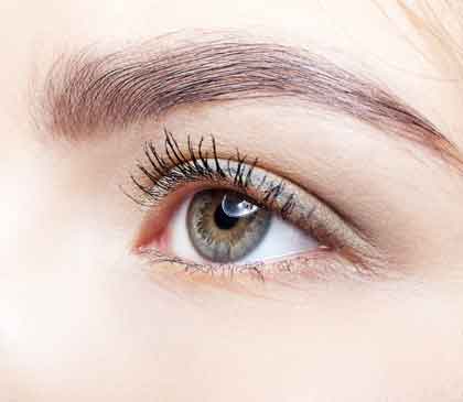 Eyelashes and Brow Treatment